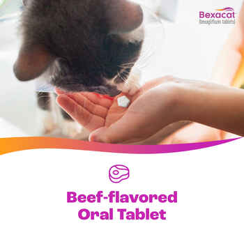 Bexacat (bexagliflozin tablets) Diabetes Mellitus Treatment for Cats 6.6 lbs & Over