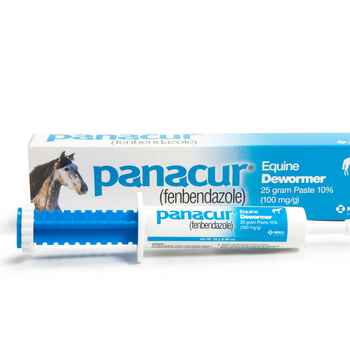 Panacur Paste Equine Dewormer 25 gm 1 pk