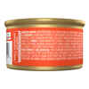 Fancy Feast Classic Pate Savory Salmon Feast Wet Cat Food 3 oz. Cans - Case of 24