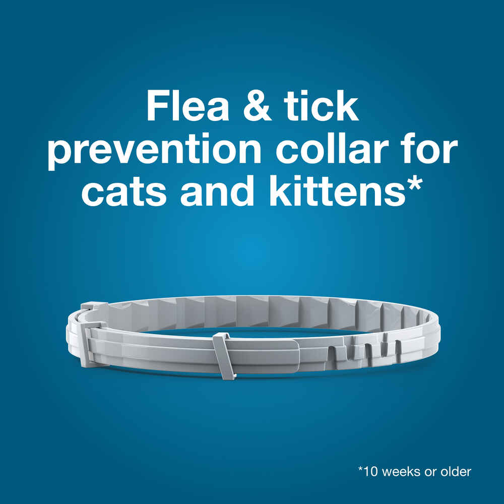 Seresto for Cats