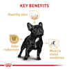 Royal Canin Breed Health Nutrition French Bulldog Adult Dry Dog Food - 17 lb Bag