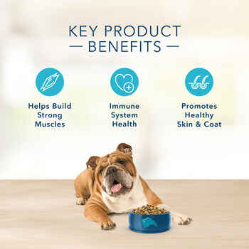 Blue Buffalo Basics Adult Skin & Stomach Care Grain-Free Duck & Potato Recipe Dry Dog Food 22 lb Bag