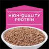 Purina Pro Plan Veterinary Diets UR Urinary St/Ox Feline Formula Wet Cat Food - (24) 5.5 oz. Cans