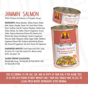 Weruva Jammin Salmon with Chicken & Salmon in Pumpkin Soup for Dogs