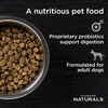 Diamond Naturals Beef Meal & Rice for Adult Dogs