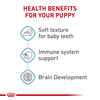 Royal Canin Size Health Nutrition Starter Mother & Babydog Mousse In Sauce Wet Dog Food - 5.1 oz Cans - Case of 24