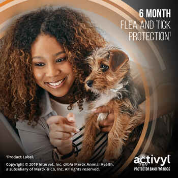 Activyl Protector Band for Dogs