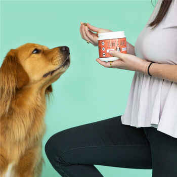 Natural Dog Company Skin & Coat Supplement Chews 90ct