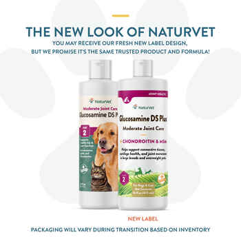 NaturVet Glucosamine DS Plus Level 2 Moderate Joint Care Supplement for Dogs and Cats Liquid 16 fluid oz