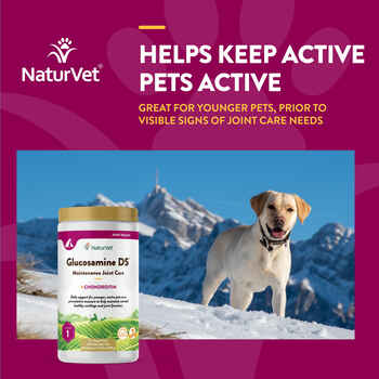 NaturVet Glucosamine DS Level 1 Maintenance Joint Care Supplement for Dogs and Cats Time Release, Chewable Tablets 240 ct