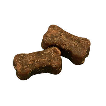 Brite Coat Chews for Cats & Dogs
