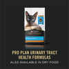 Purina Pro Plan Adult Urinary Tract Health Beef & Chicken Entree Classic Wet Cat Food 3 oz Cans (Case of 24)