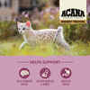 ACANA Highest Protein Free-Run Chicken, Turkey, & Salmon Dry Kitten Food 4 lb Bag
