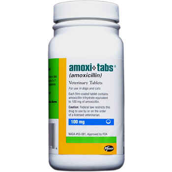 Amoxicillin 100 mg (sold per tablet) product detail number 1.0