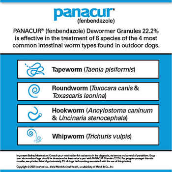 Panacur C Canine Dewormer