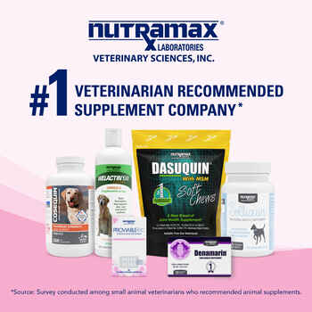 Nutramax Proviable-DC Digestive Health Supplement Multi-Strain Probiotics and Prebiotics for Cats and Dogs With 7 Strains of Bacteria 30 Capsules