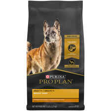 Purina Pro Plan Senior Adult 7+ Bright Mind Chicken & Rice Formula Dry Dog Food-product-tile