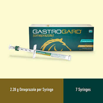 GastroGard 1 syringe
