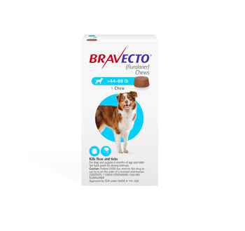 Bravecto Chews 1 Dose Large Dog 44-88 lbs product detail number 1.0