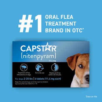 Capstar Flea Treatment Tablets