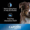 Capstar Flea Treatment Tablets 6pk 26-125 lbs
