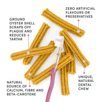 Crumps' Naturals Plaque Busters Original Dental Sticks 7" - 10 Pack