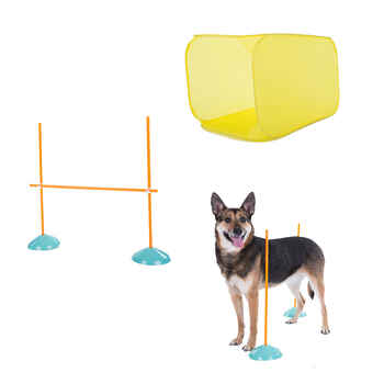 Outward Hound Dog Agility Starter Kit Indoor Indoor product detail number 1.0