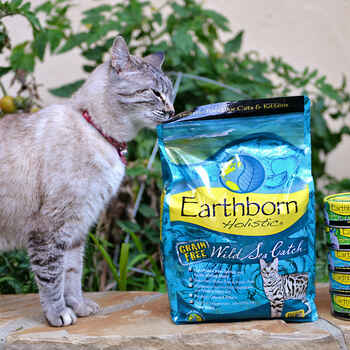 Earthborn Holistic Wild Sea Catch Grain Free Dry Cat Food 6 lb Bag