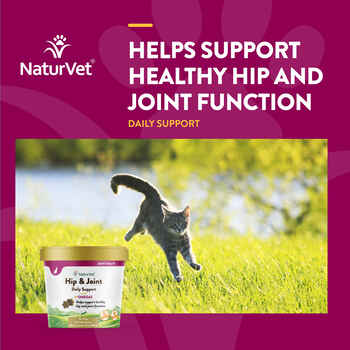 NaturVet Hip & Joint Plus Omegas Supplement for Cats Soft Chews 60 ct