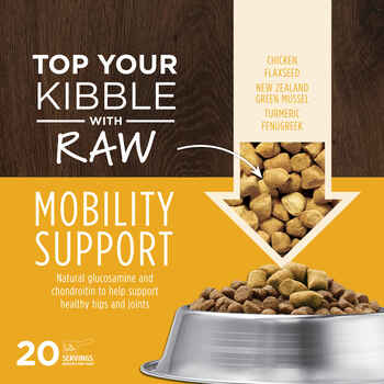 Instinct Raw Boost Mixers Mobility Support Recipe Freeze-Dried Raw Dog Food Topper - 5.5 oz Bag
