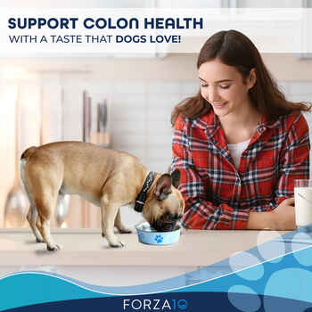 Forza10 Nutraceutic Active Colon Diet Phase 1 Dry Dog Food 8 lb Bag