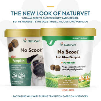 NaturVet No Scoot Plus Pumpkin Soft Chews for Dogs