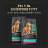 Purina Pro Plan Development Grain Free Puppy Entrée Classic Wet Dog Food