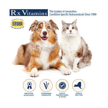 Rx Vitamins Rx B12 Dog & Cat Supplement