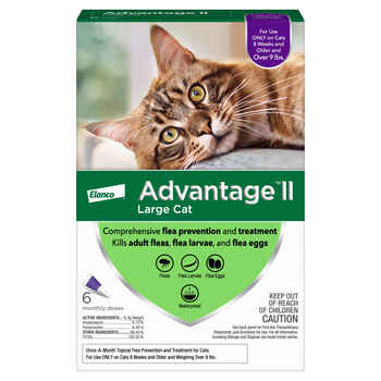 Advantage II 6pk Cat Over 9 lbs product detail number 1.0