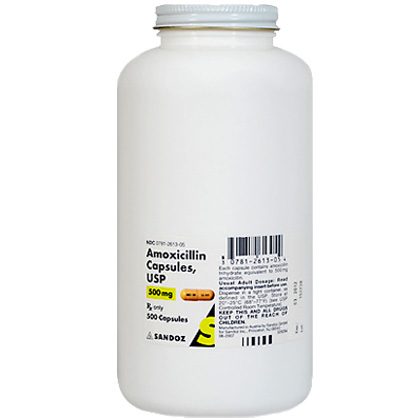 Amoxicillin 500 mg Capsule by PFIZER ANIMAL HEALTH