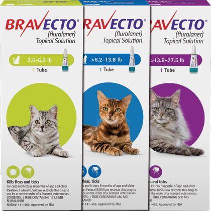 bravecto spot on for cats reviews