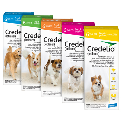 Credelio for Dogs | Free Shipping | 100 