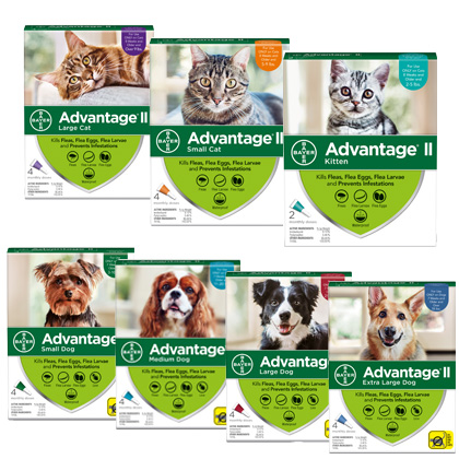 advantage ii flea control treatment for cats