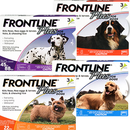 Frontline   -  11