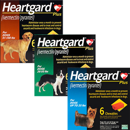 Heartgard Plus for Dogs | Free Shipping 
