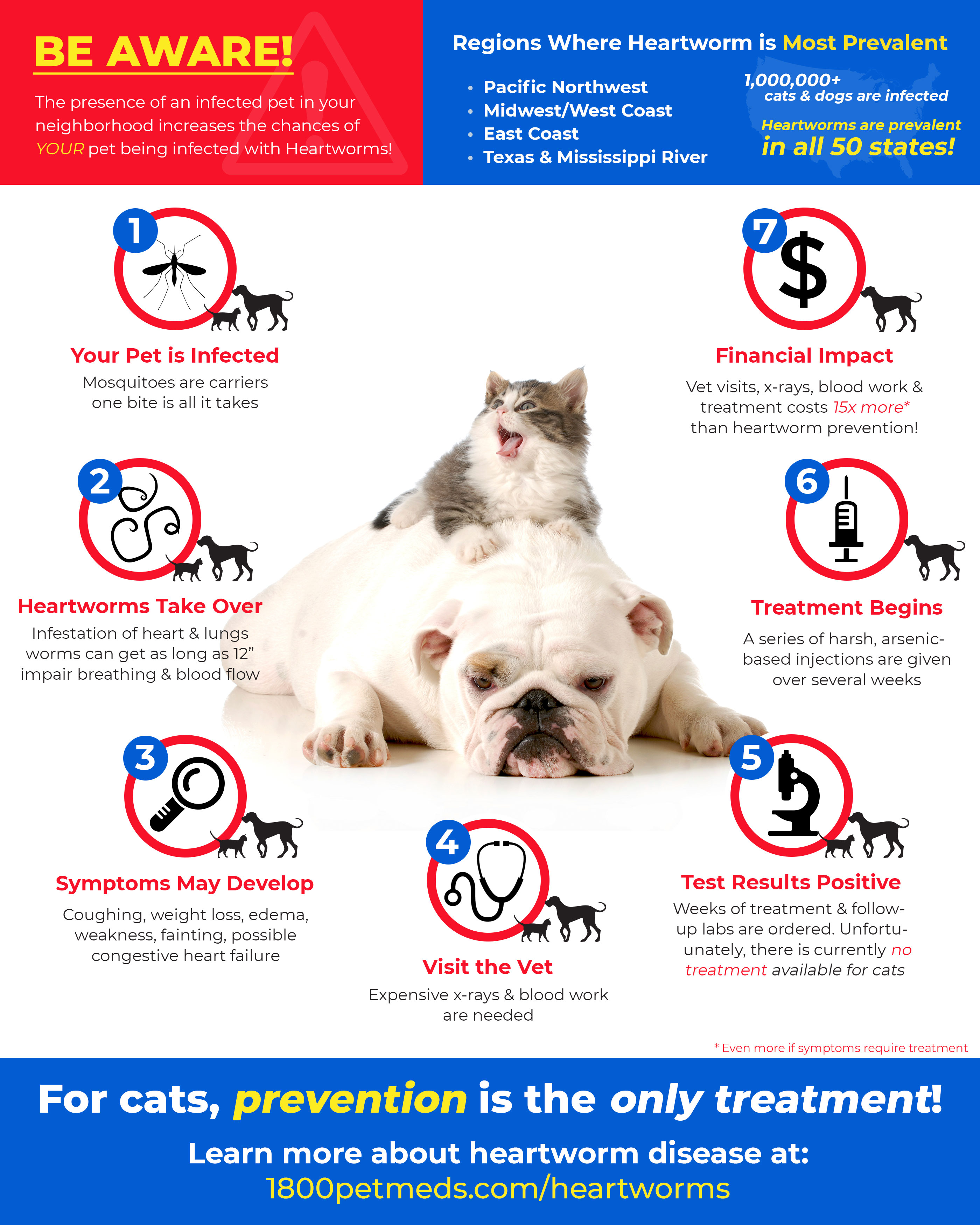 Heartworm rates of infection