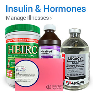 Insulin & Hormones