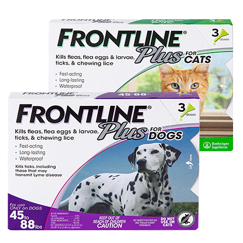 FRONTLINE Plus