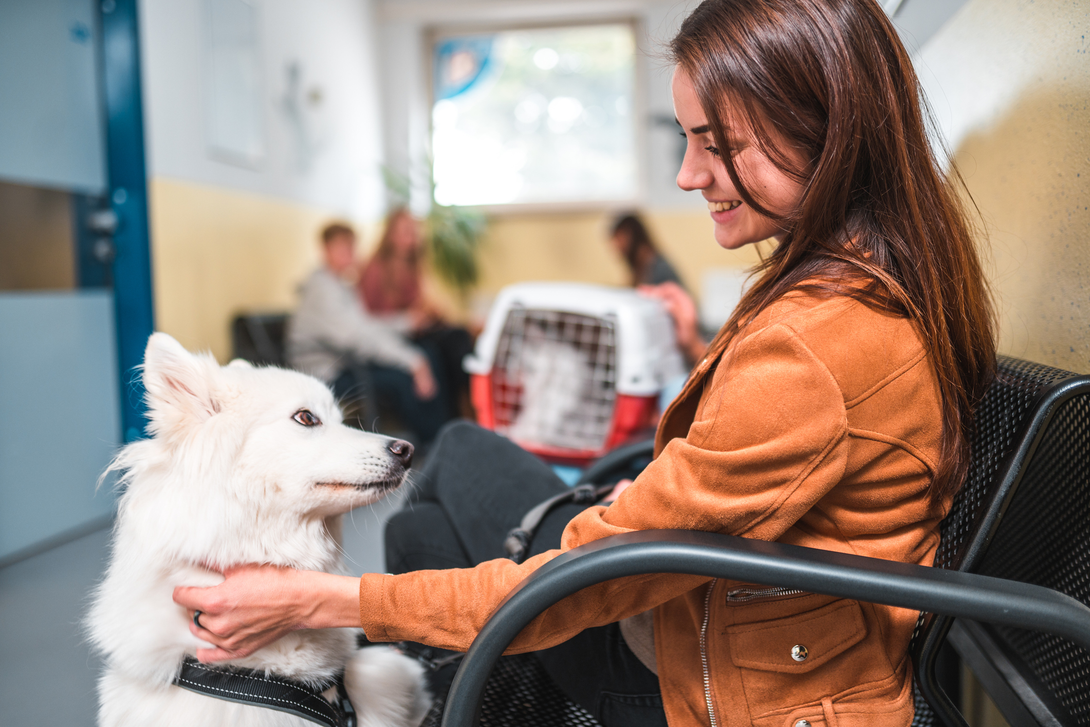 Pet parent in vet waiting room with cat in carrier and white dog.