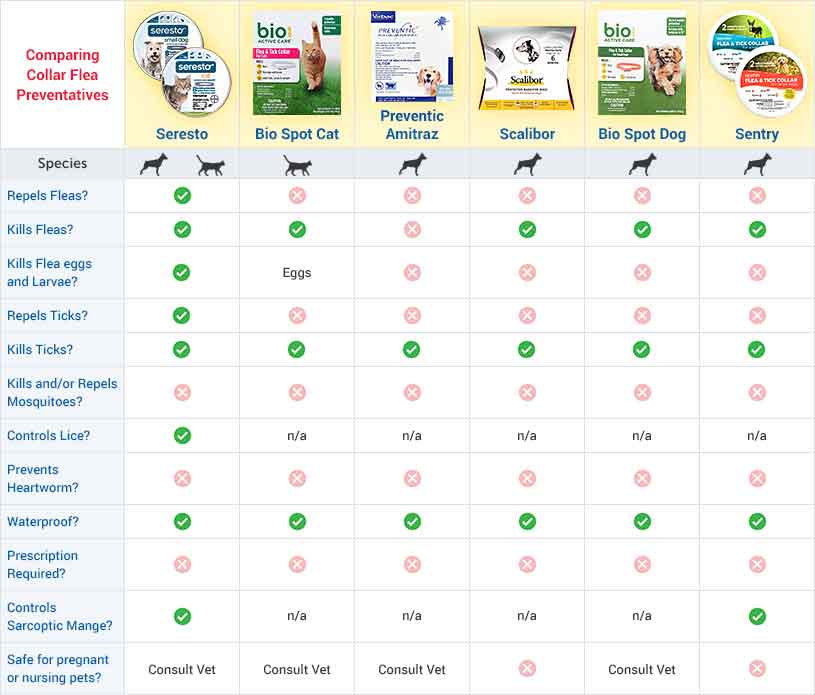 best dog flea and heartworm treatment