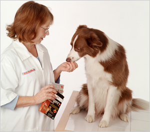 pet meds without a prescription