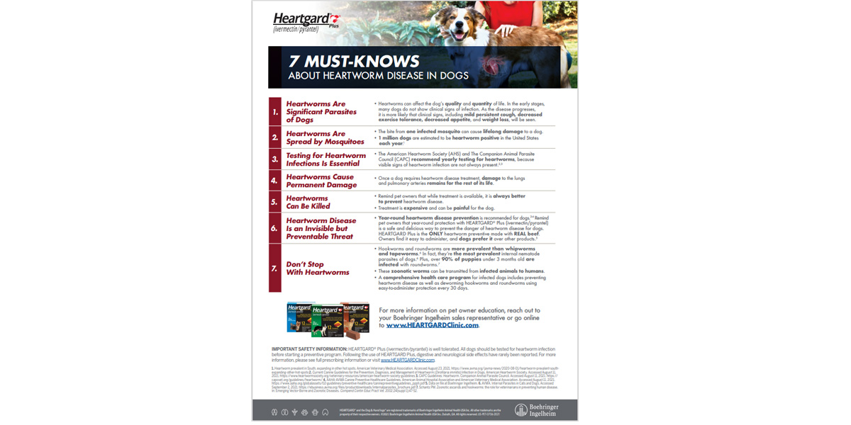 Seven must knows Seven must knows