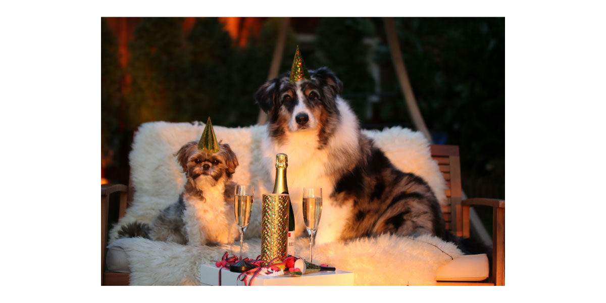 Pet parent resolutions