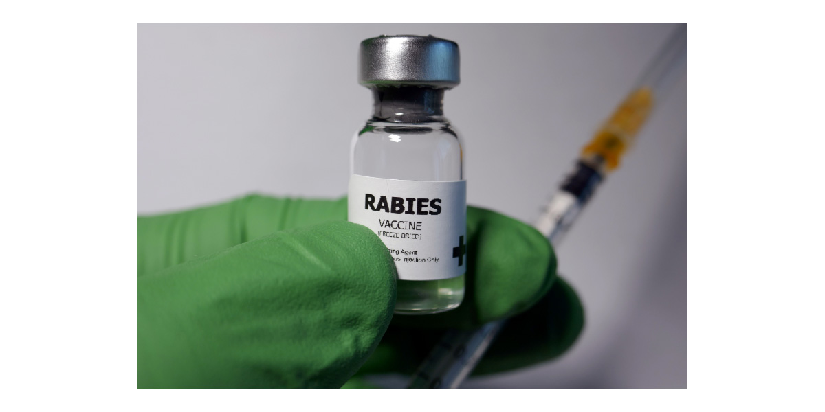  Can A Vaccinated Pet Get Rabies?